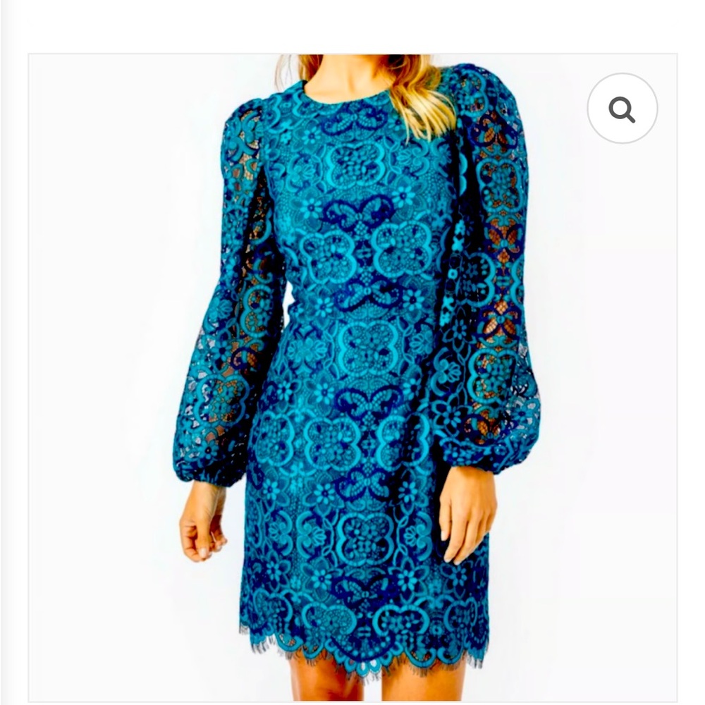 Lace Long Sleeve Sheath. Bodice fully lined, sheer sleeves. Size 00, runs larger